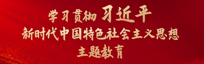 学习贯彻习大大新时代中国特色社会主义思想主题教育